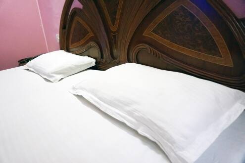 Hotel Eliza Continental, New Delhi 4